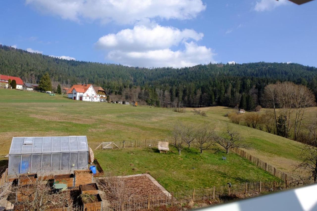 Schwarzwild - Ferienwohnung Und Ferienzimmer Байерсброн Екстериор снимка